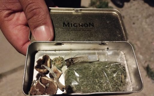 Intentó evadir un control y le encontraron marihuana y hongos alucinógenos