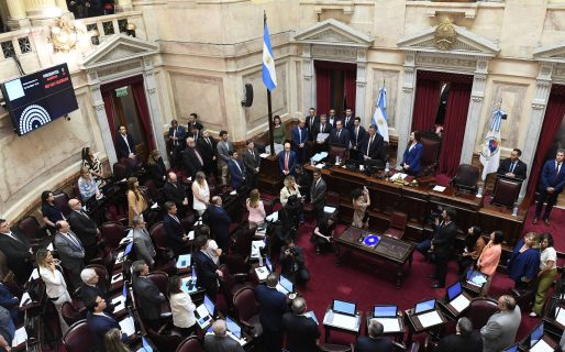 DNU de Milei: la UCR impulsa en el Senado un proyecto de «ley espejo»