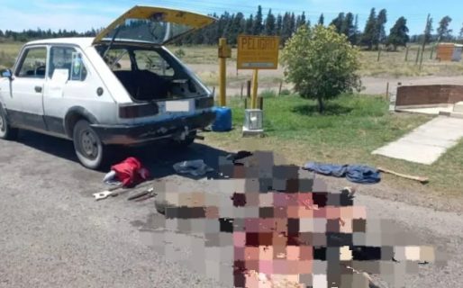 En un Fiat 147 llevaba una vaca faenada, una mara e iba armado hasta los dientes