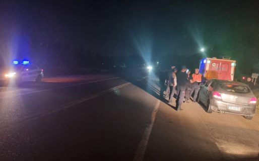 Un vehículo chocó contra un caballo en Ruta Nacional N°26