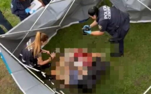 Encontraron un cuerpo descuartizado en una valija y detuvieron al hijo de la víctima