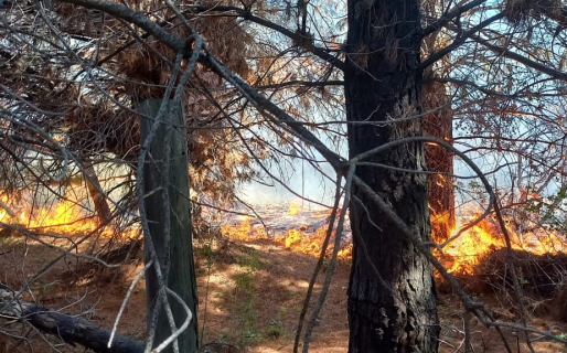 Incendio forestal descontrolado en Epuyén: presumen que fue intencional