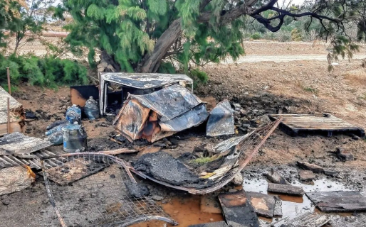 Crueldad extrema: quemaron vivo a un perro comunitario en su cucha