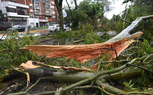Temporal en Buenos Aires: cortes de luz, árboles caídos y caos en las calles