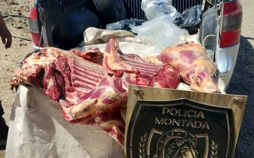 Trasladaban una vaca y un cordero faenados ilegalmente
