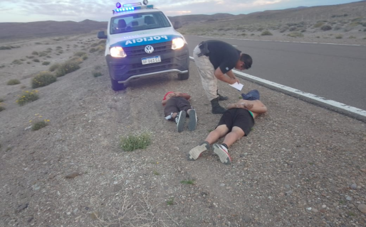 Dos detenidos tras intento de robo de ovejas en una estancia