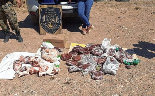 Traía guanaco y cordero faenados desde Sarmiento y se los decomisaron en la Ruta 26