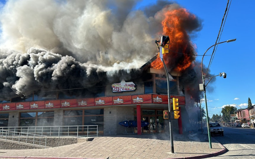 Una bombera rescató a un gato entre las llamas del feroz incendio en El Bolsón