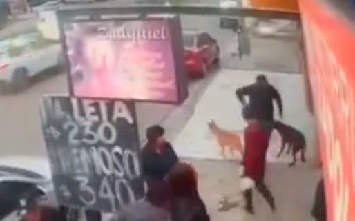 “Vivimos momentos muy angustiantes porque cualquiera de nosotros podía morir”