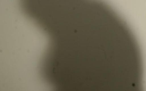 Polémica por una fuerte pelea entre niños de 10 y 12 años: «Necesitamos hacer reflexionar a los menores para que esto no vuelva a ocurrir»