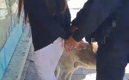 Una joven fue detenida por hurtar dos perfumes y un par de ojotas