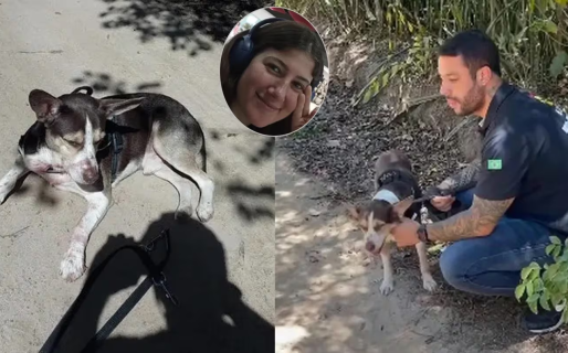 Horror en Brasil: el perro de la argentina asesinada identificó a un sospechoso