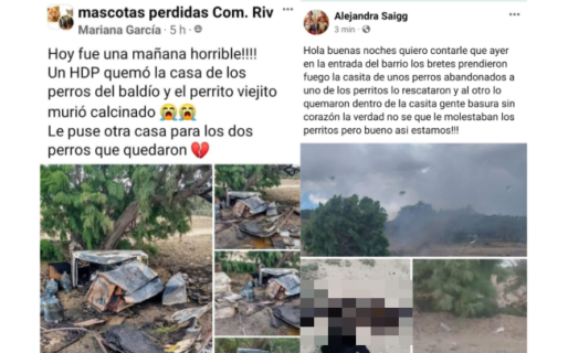 Quemaron vivo a un perro en el barrio Los Bretes