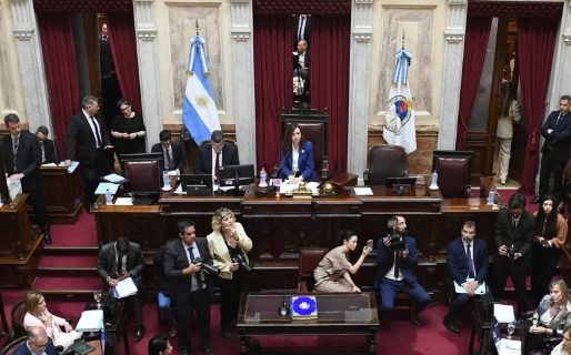 En un clima de tensión, La Libertad Avanza designó al presidente provisional del Senado