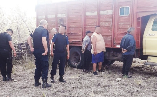 Recuperaron 16 terneros robados valuados en varios millones