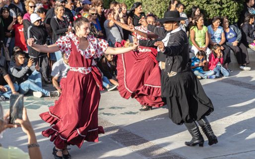 Este fin de semana se desarrollará el Festival del Damasco en Laprida