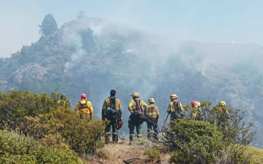 Imparable: la superficie afectada por el incendio en Los Alerces creció 80% y se suma otro foco en el parque Lanín