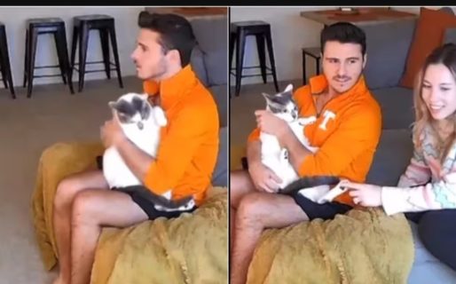 Una pareja abrazó a su gato y lo metió adentro de su casa, aunque cometieron un grosero error