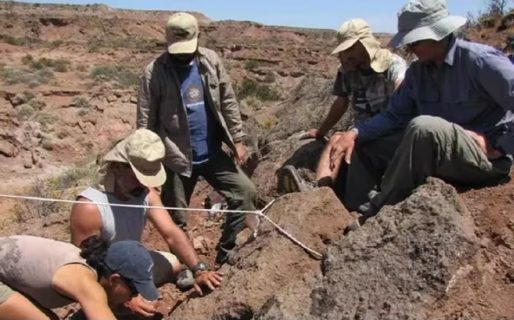 Encuentran los fósiles de cuatro extraños dinosaurios en Neuquén: tenían cuello largo y pico de pato