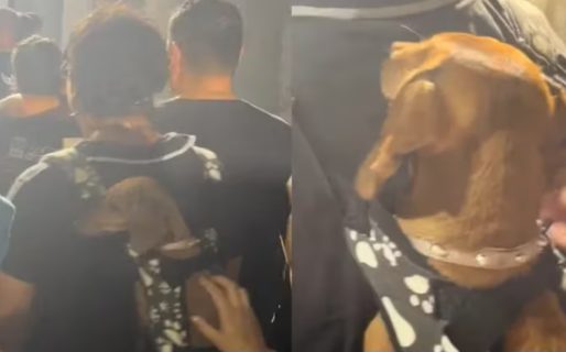 Llevó a su perro a ver a La Renga y generó revuelo en las redes sociales