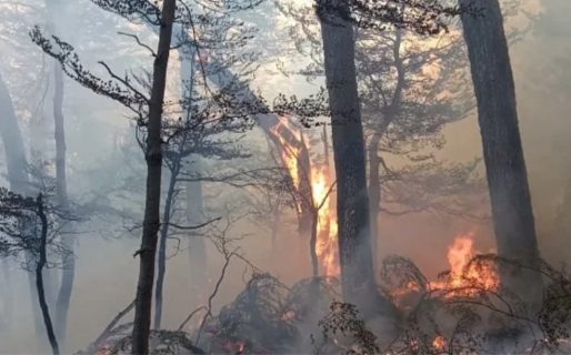 Continúan sumando refuerzos para combatir el incendio en Parque Nacional Los Alerces
