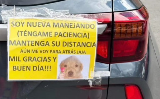 Una mujer aprendió a manejar y colocó un simpático cartel en su auto que causó furor en las redes