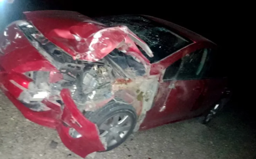 Tres heridos leves al chocar auto con guanaco en Ruta 3