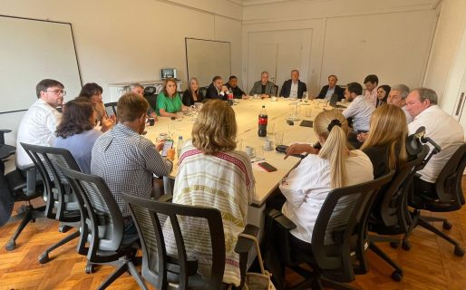 El bloque que comparte ‘Loma’ Ávila le exigió a Milei que «deje de confrontar con el Congreso»