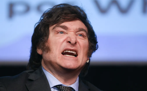 Milei criticó al Congreso por no acompañar sus reformas: «Se ponen a hacer estupideces»