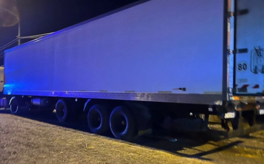 Siguen los secuestros de langostinos y en un mes ya se incautaron 23 toneladas