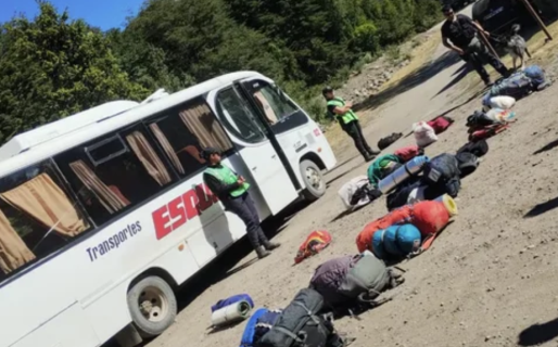 El can antinarcóticos descubrió que un pasajero llevaba hongos alucinógenos y cannabis