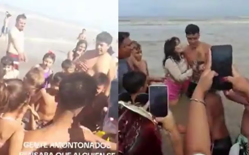 Una mujer salvó a un tiburón bebé de una multitud que lo sacó del agua para tomarle fotos