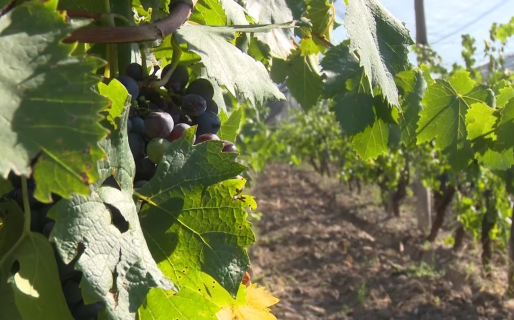 Final abierto: las retenciones, un punto clave de la la ley ómnibus que el Gobierno aún negocia en el Congreso