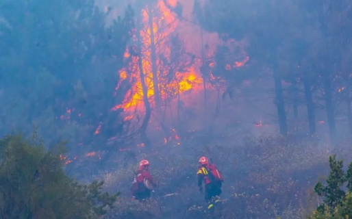 Incendio fuera de control en el Parque Los Alerces: el Gobierno suma brigadistas para contener el fuego