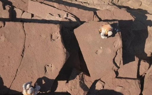 Encontraron restos fósiles de una nueva especie de dinosaurio en Neuquén