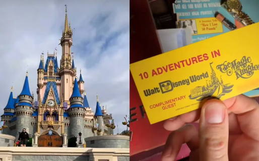 Encontró una entrada vieja para un parque Disney, viajó para ver si era válido y el resultado lo sorprendió