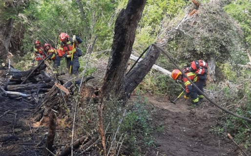Ya se quemaron más de 700 hectáreas y Torres va a la zona del incendio