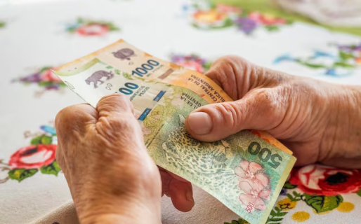 Anses: en 2023 tuvieron moratoria ocho de cada diez nuevas jubilaciones