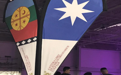 “Como mapuches seríamos incapaces de hacer lo que dice el Gobernador”