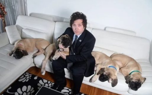 Quinta de Olivos: avanza la construcción de los caniles para los perros de Javier Milei