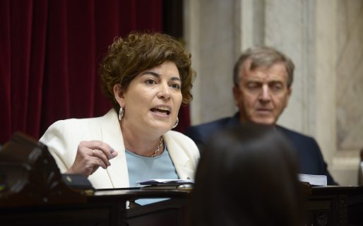 Sesión Ley Ómnibus: “Esta es una oportunidad, después de años de pérdidas” para Chubut