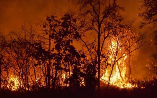 Ascienden a 112 las víctimas por los incendios forestales en Chile