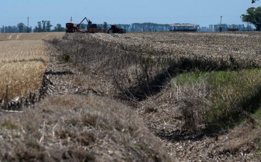 Expertos advierten sobre el posible regreso del fenómeno de «La Niña» en la segunda mitad del año