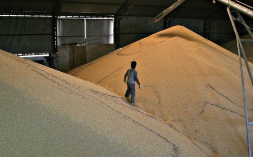 Agropecuarios reafirman su rechazo a los derechos de exportación y esperan una reducción