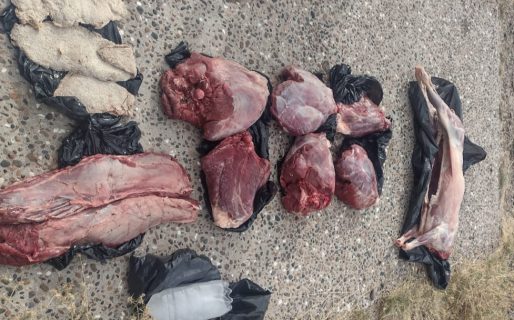 Los descubrieron con un cordero faenado y dos guanacos despostados