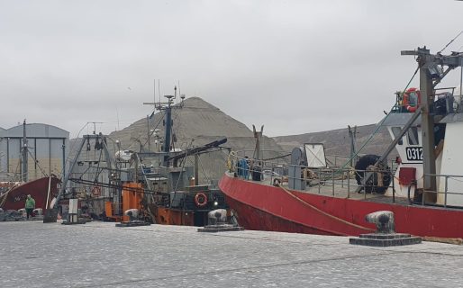 Llamado “desesperado” de los pesqueros de Comodoro al gobierno provincial