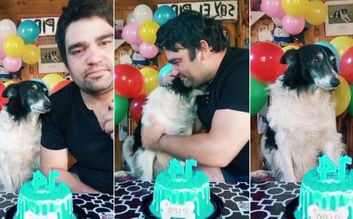 Lo encontró tirado en una zanja, lo salvó y lleva 14 años con él: la historia de Pipo, el perro “motoquero”