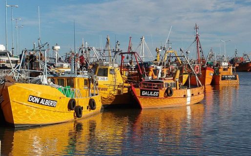 La paralización de la pesca tendrá un fuerte impacto para el comercio de Rawson