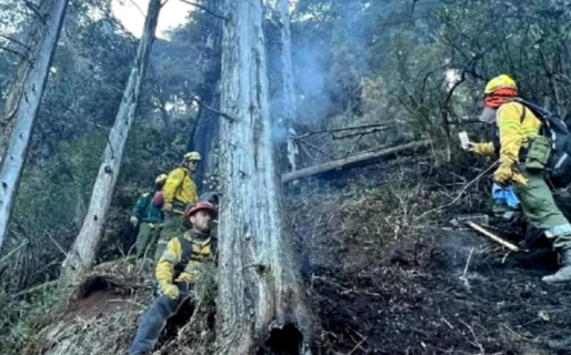 Continúan combatiendo el incendio en el Nahuel Huapi