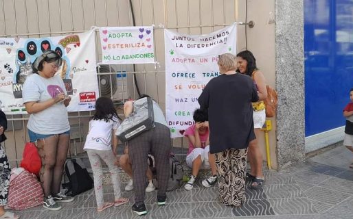 Este sábado realizarán una jornada de adopción